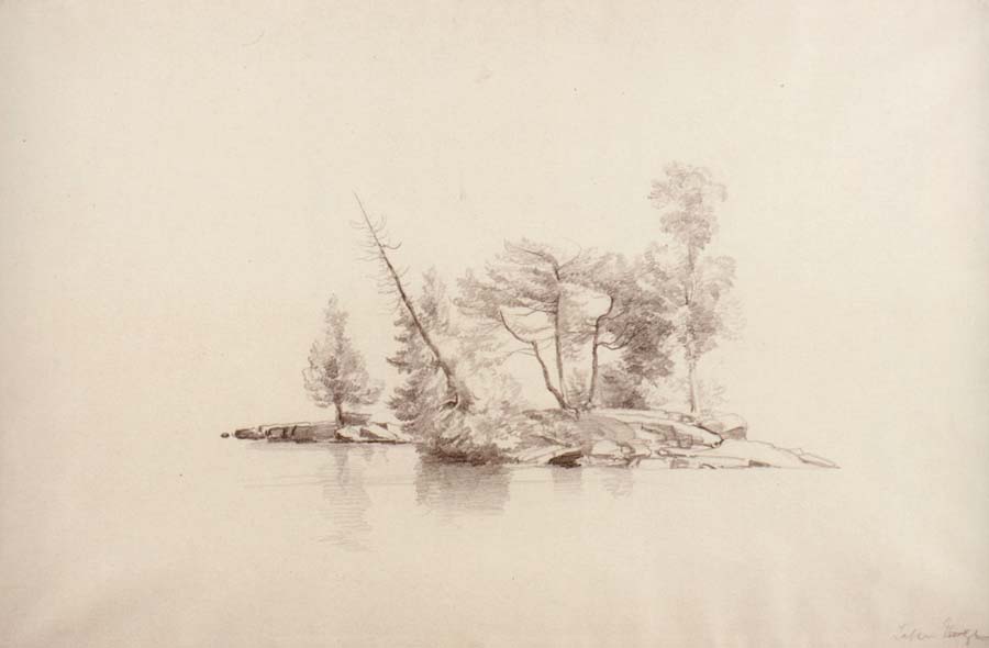 Island with small trees,Lake George